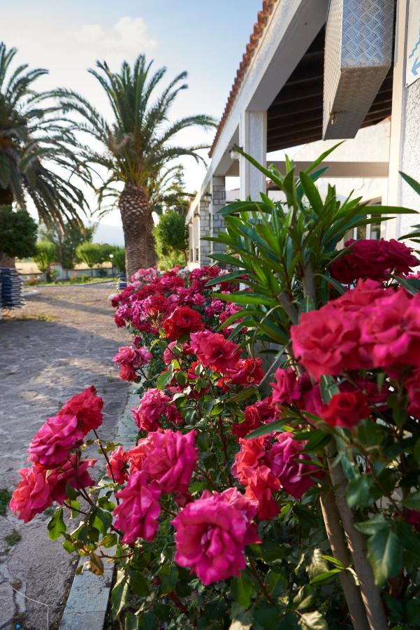 Kalloni Bay Hotel